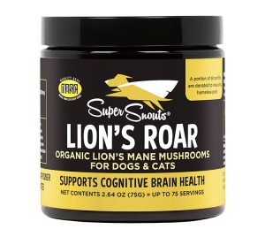 LION´S ROAR Hongo Medicinal Melena de León | Complemento Alimenticio Natural