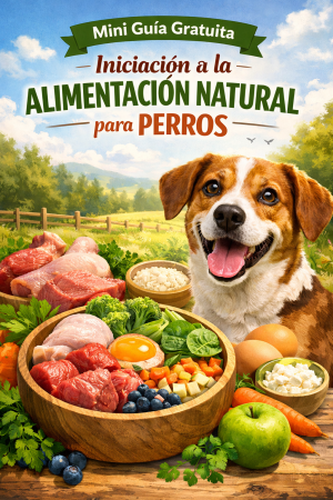 Alimentación Natural para Perros